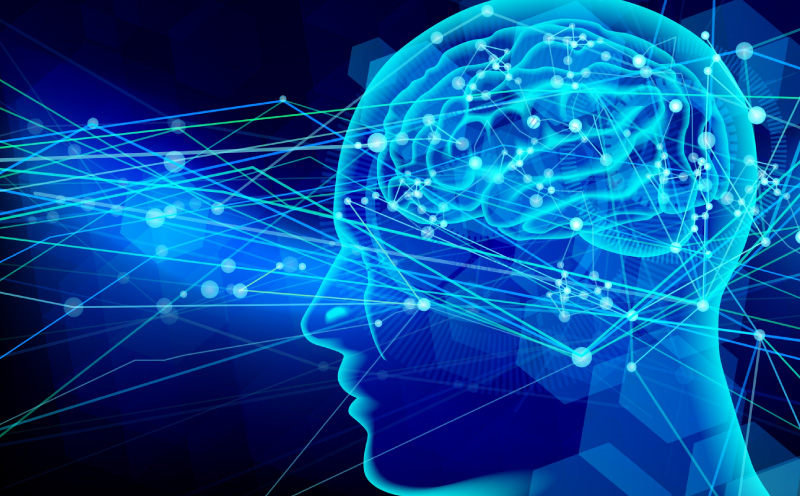 効果測定の為の脳テストを導入